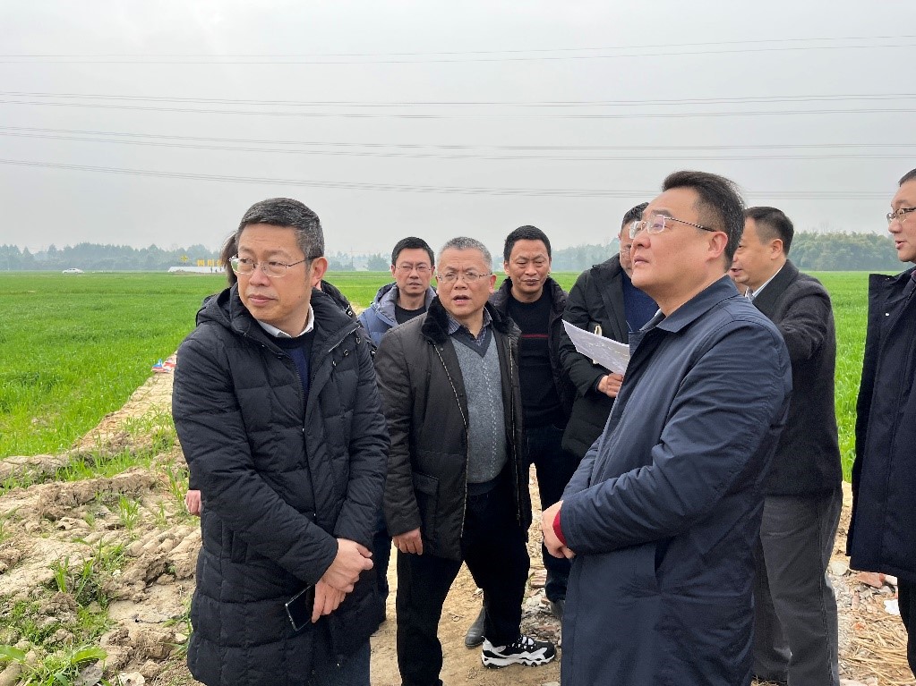 省社、省供投集團領(lǐng)導調(diào)研青白江區(qū)四川現(xiàn)代供銷種業(yè)園區(qū)
