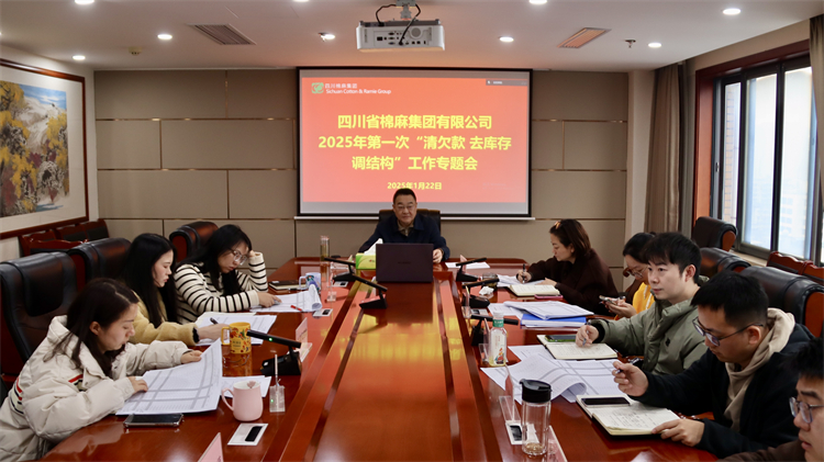 集團公司召開2025年第一次“清欠款、去庫存、調(diào)結(jié)構(gòu)”工作專題會